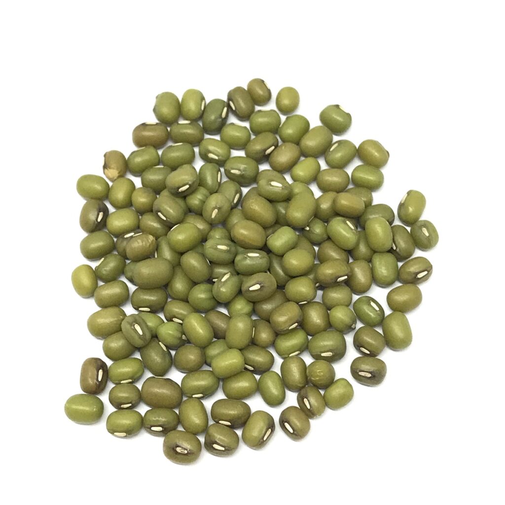 緑豆の写真