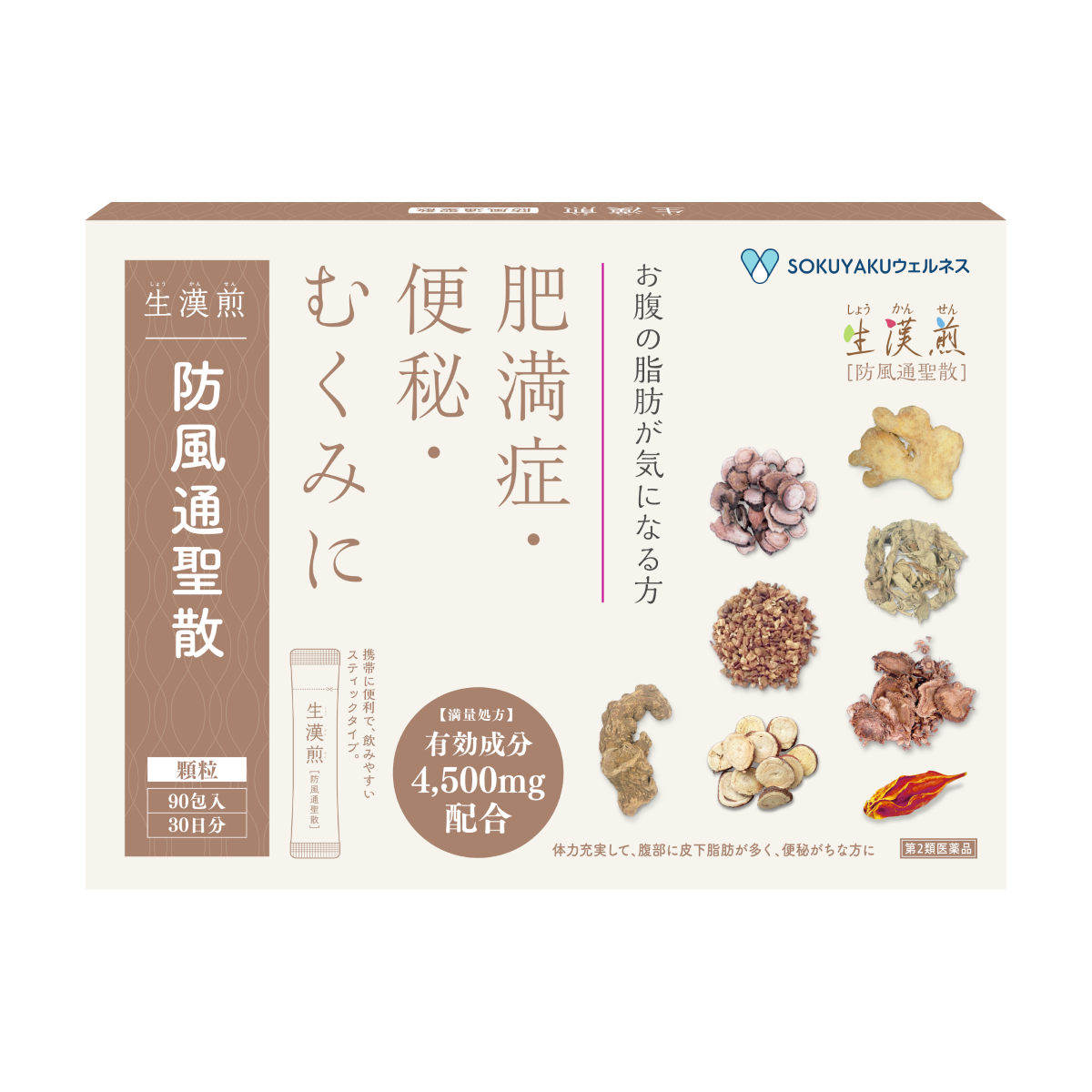 生漢煎防風通聖散の写真